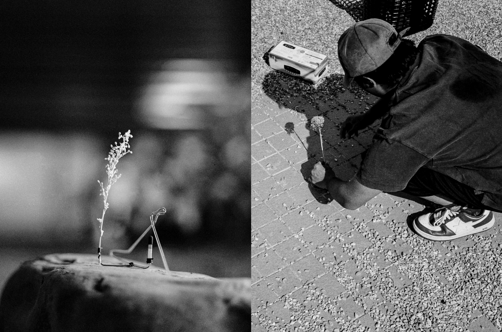 5 weeks in Tamagawadai