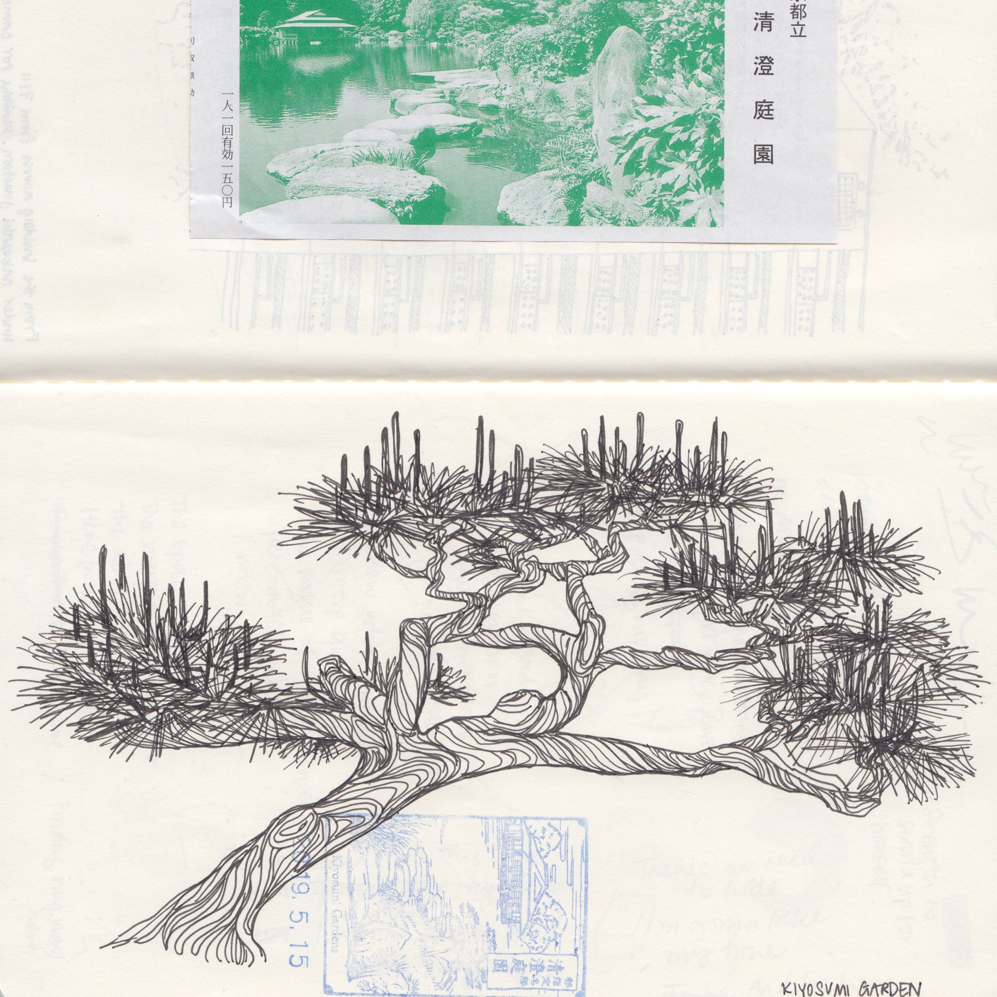 A scanned ball pen drawing by Angela Tam of a tree at the kiyosumi garden. A blue stamp is stamped on top of the drawing with a green poster next to it.