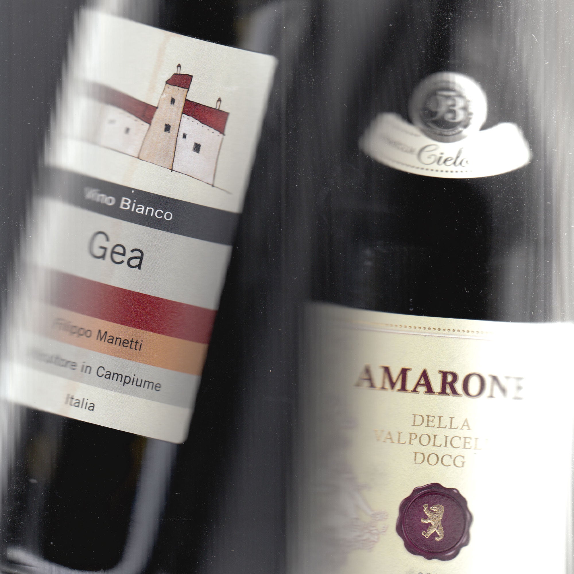 A scanned image of two wine bottles and their labels. The text displayed has 'Gea' and 'Amarone' in focus.